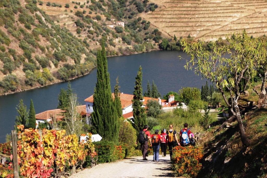 Douro Yacht Charter & Bungalows São João da Pesqueira Extérieur photo